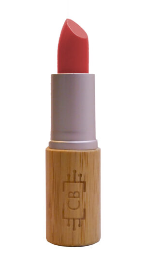 duurzame makeup lipstick glossy